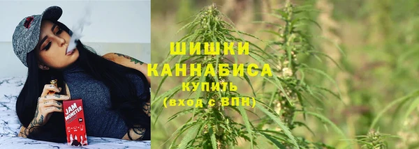 гашик Бородино