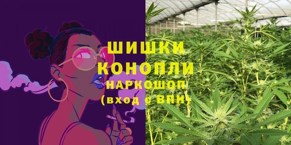 хмурый Бронницы