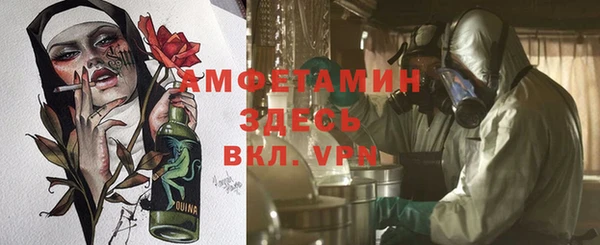 гашик Бородино